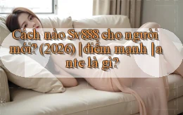 Cách nào Sv888 cho người mới (2026) điểm mạnh ante là gì