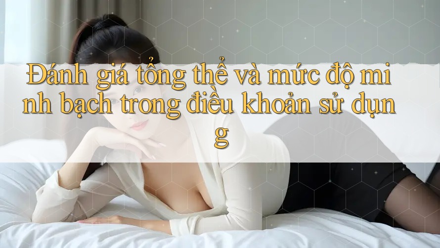 Đánh giá tổng thể và mức độ minh bạch trong điều khoản sử dụng