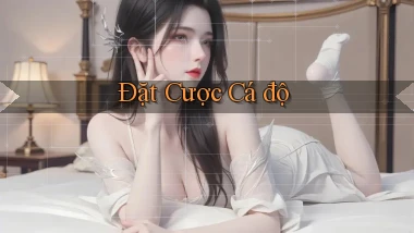 Đặt cược Cá độ