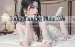 Phần thưởng Phản hồi