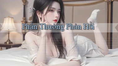 Phần thưởng Phản hồi