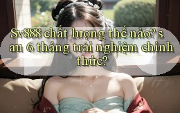 Sv888 chất lượng thế nào sau 6 tháng trải nghiệm chính thức