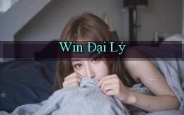 win Đại lý